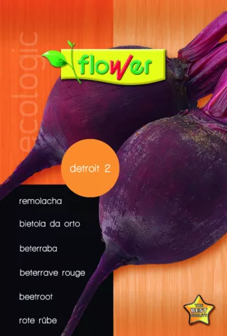 Remolacha detroit 2
