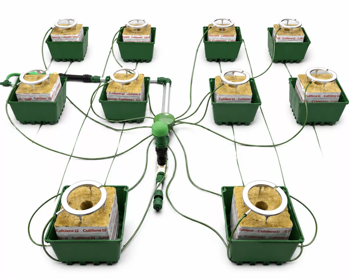 KIT PULPO Q-RING 48 Netadrip