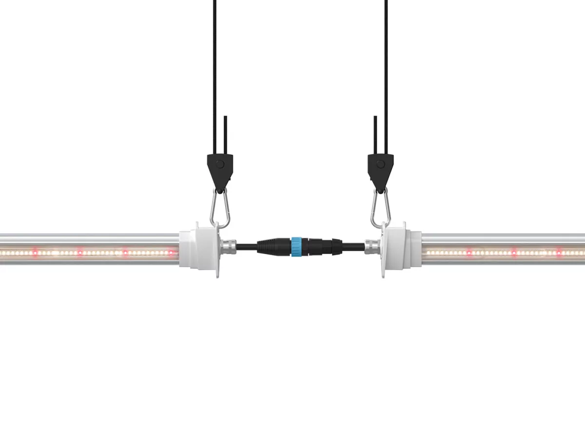 Inter Canopy LED - Imagen 4