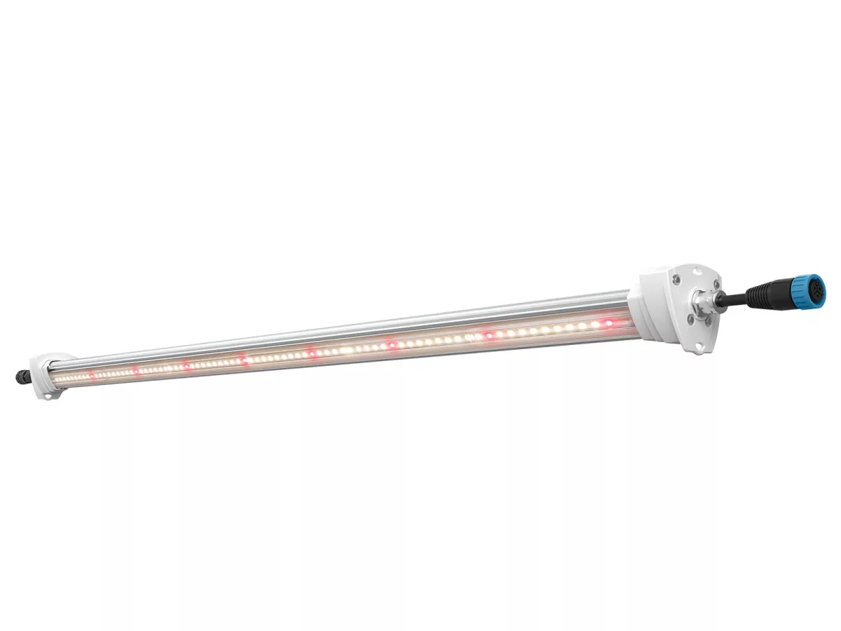 Inter Canopy LED - Imagen 3