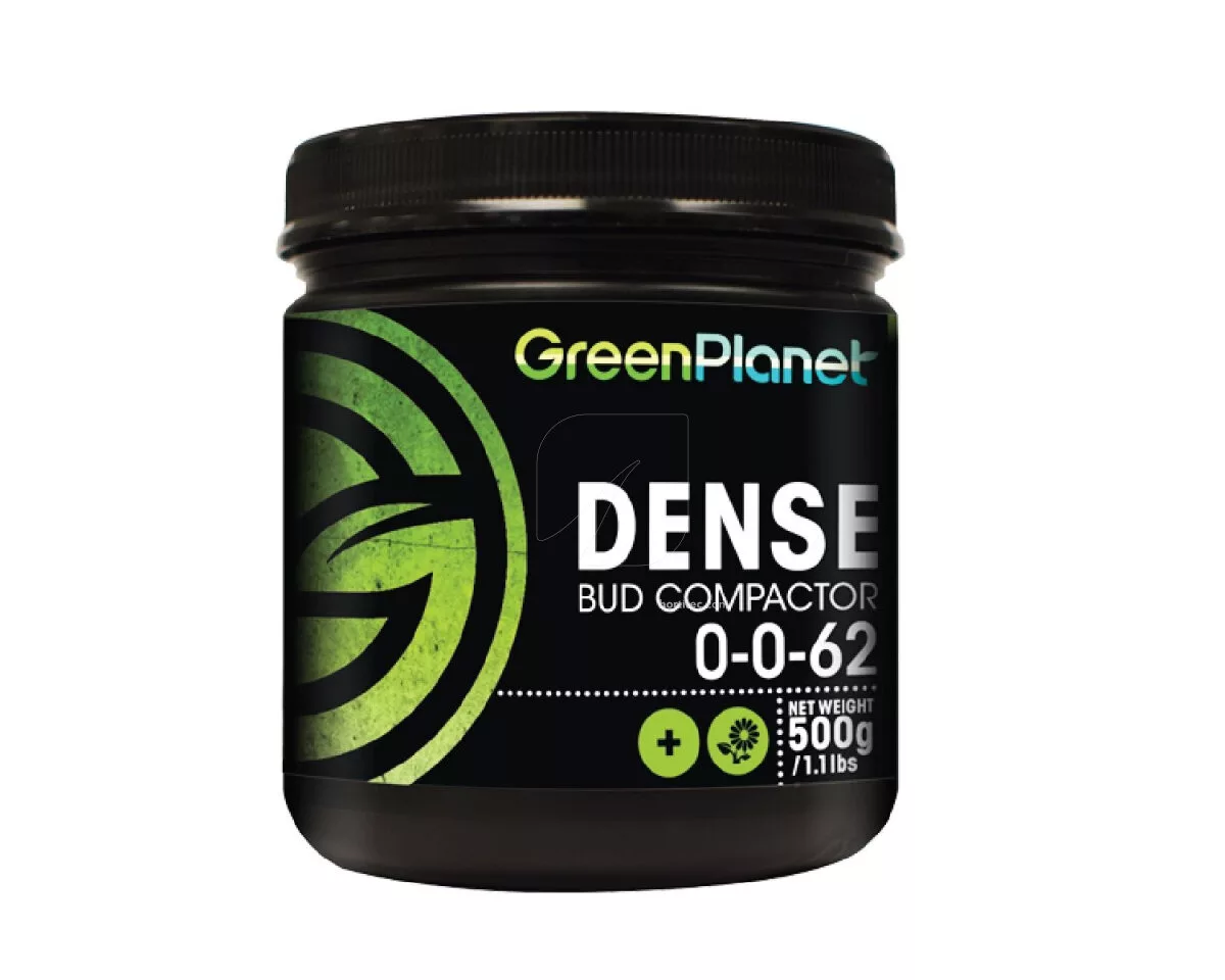 Dense 100 g Green Planet