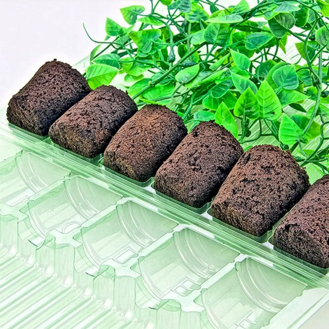 Blíster de PET reciclado para transportar esquejes y plántulas — vista 2