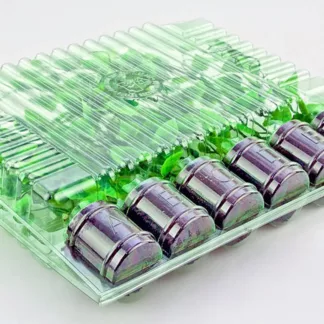 Blíster de PET reciclado para transportar esquejes y plántulas