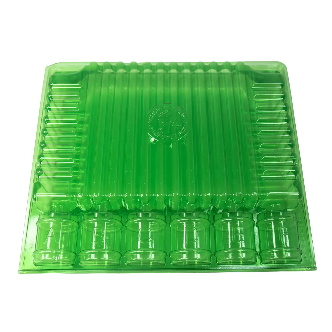 Blíster de PET reciclado para transportar esquejes y plántulas — vista 4
