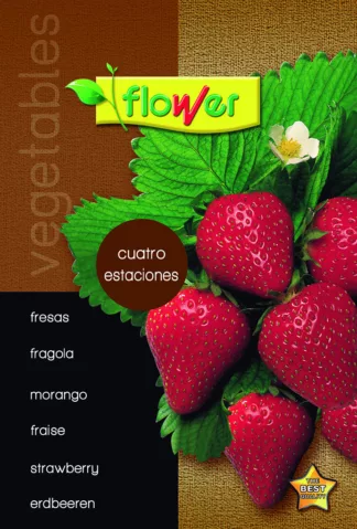 Fresas cuatro estaciones