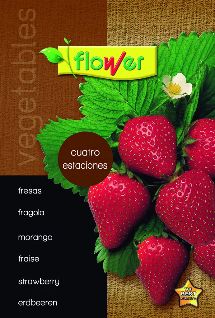 Fresas cuatro estaciones
