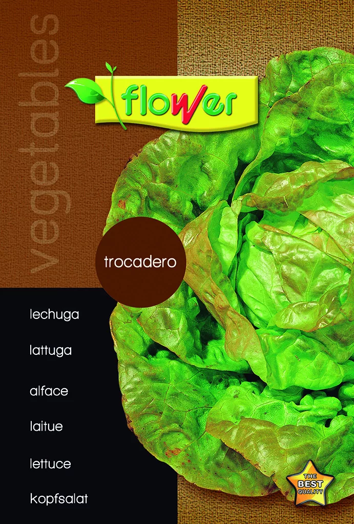 Lechuga Trocadero
