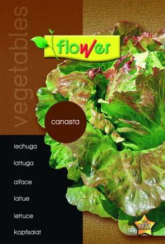 Lechuga canasta