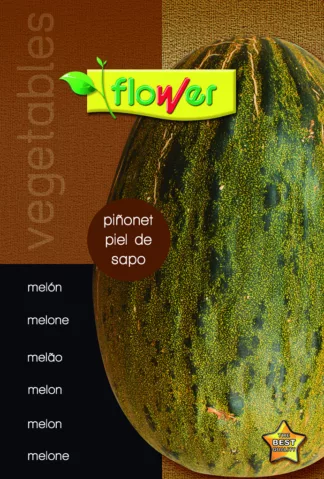 Melón piñonet piel de sapo