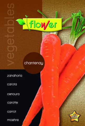 Zanahora chantenay