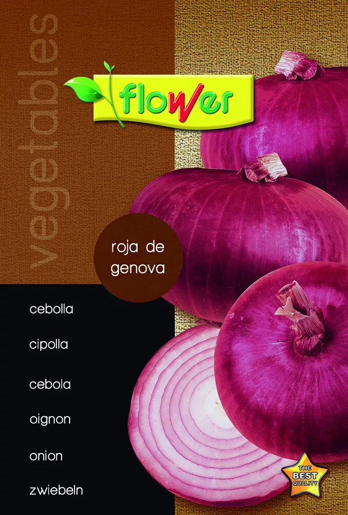Cebolla de Figueres