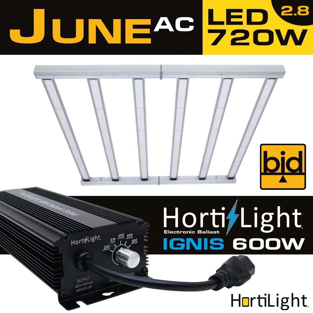 Luminaria LED June AC 720 BID con balastro IGNIS 600 W - Hortilight — vista 2
