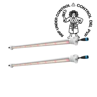 Inter Canopy LED