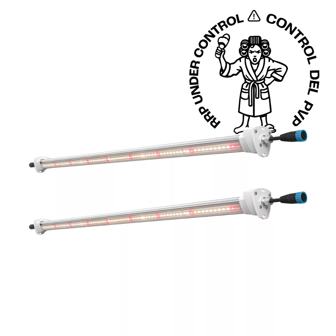 Inter Canopy LED