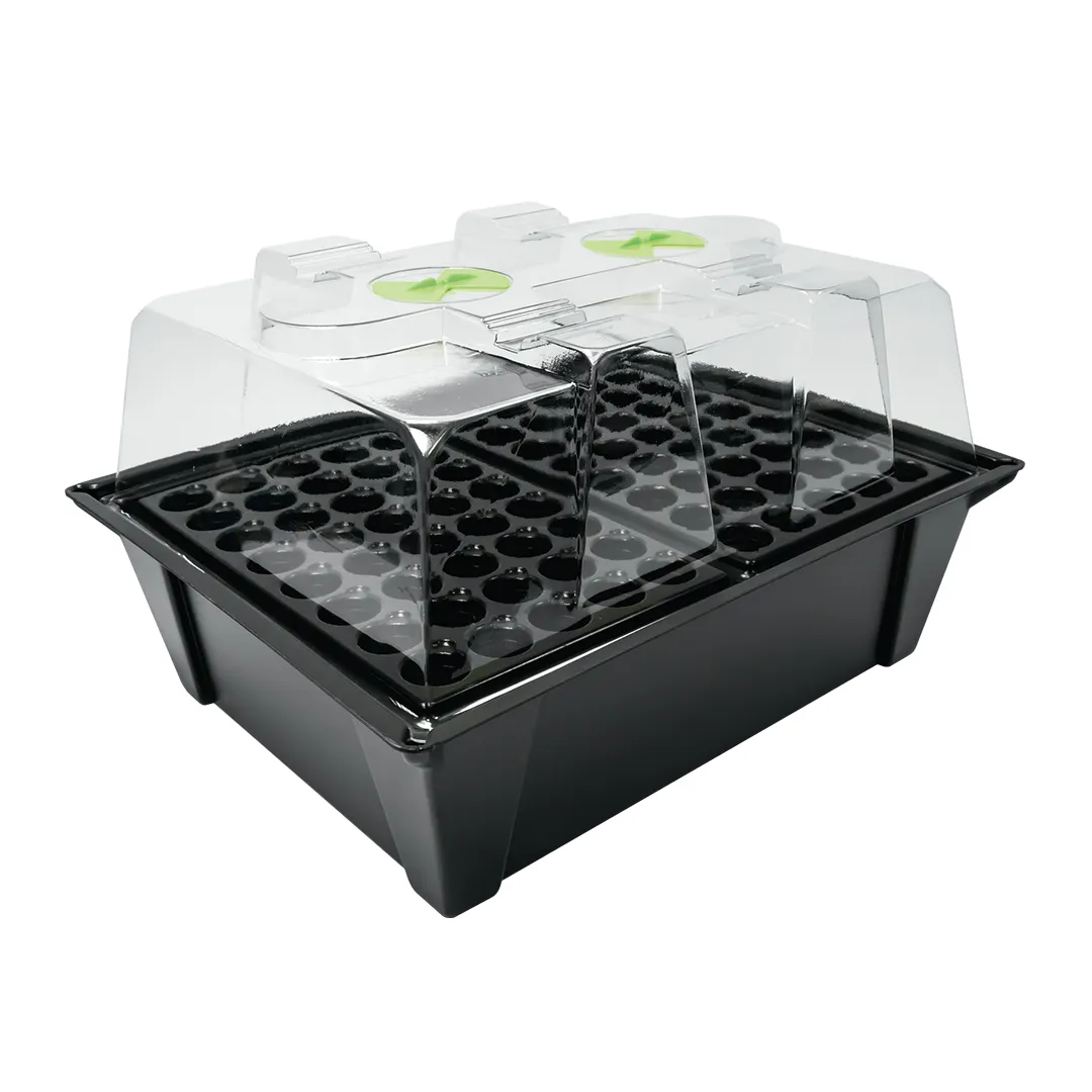 Propagador aeropónico X-Stream 80 con bomba y collares - Nutriculture