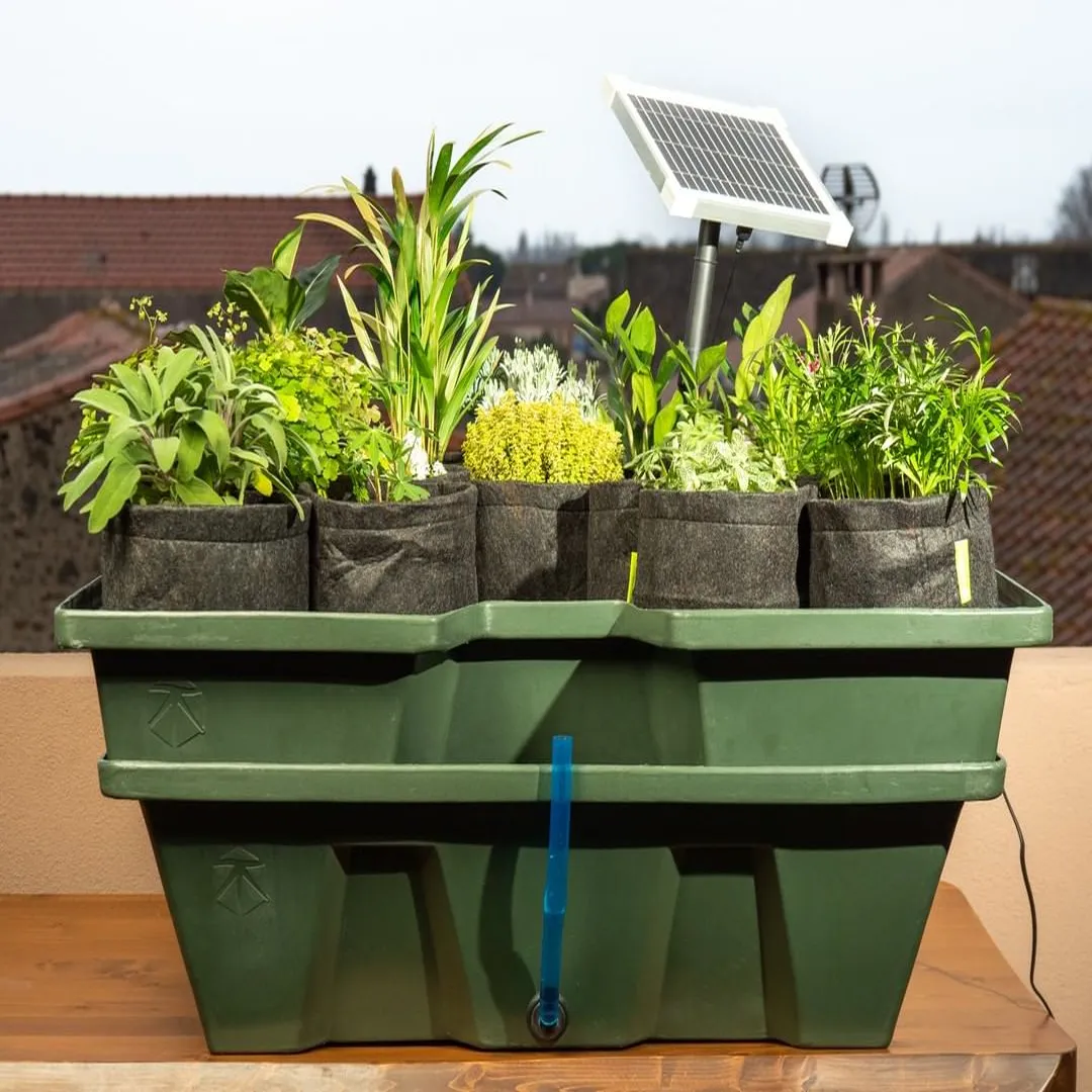 Sistema EbbGrow con bomba solar y macetas Propots - Terra Aquatica — vista 2