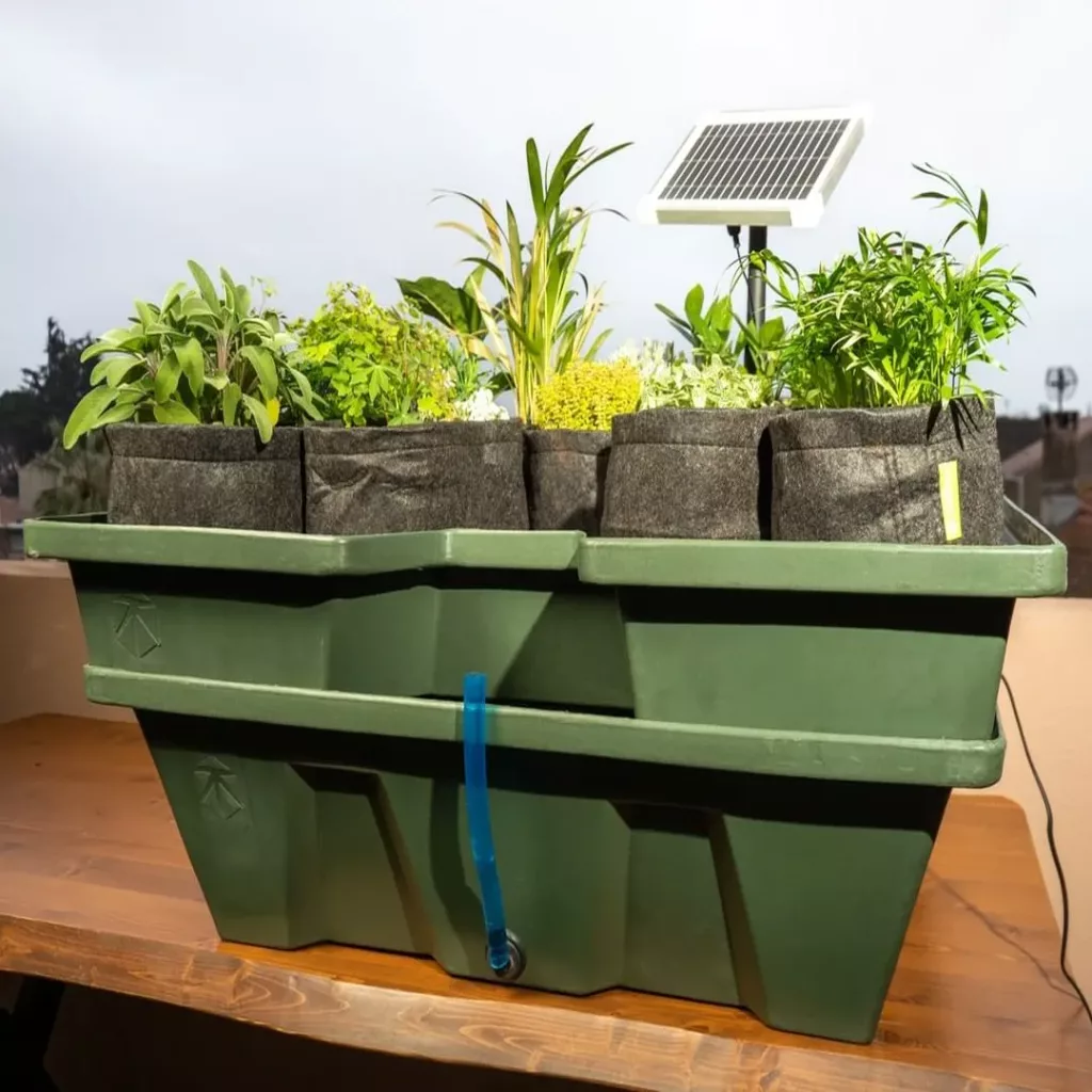 Sistema EbbGrow con bomba solar y macetas Propots - Terra Aquatica — vista 3