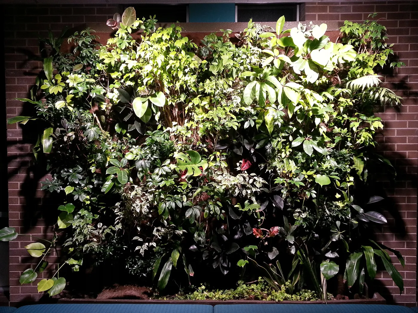 Jardín vertical con vegetación variada en un muro de ladrillo